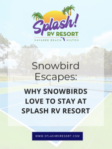 Why Snowbirds Love to Stay at Splash RV Resort